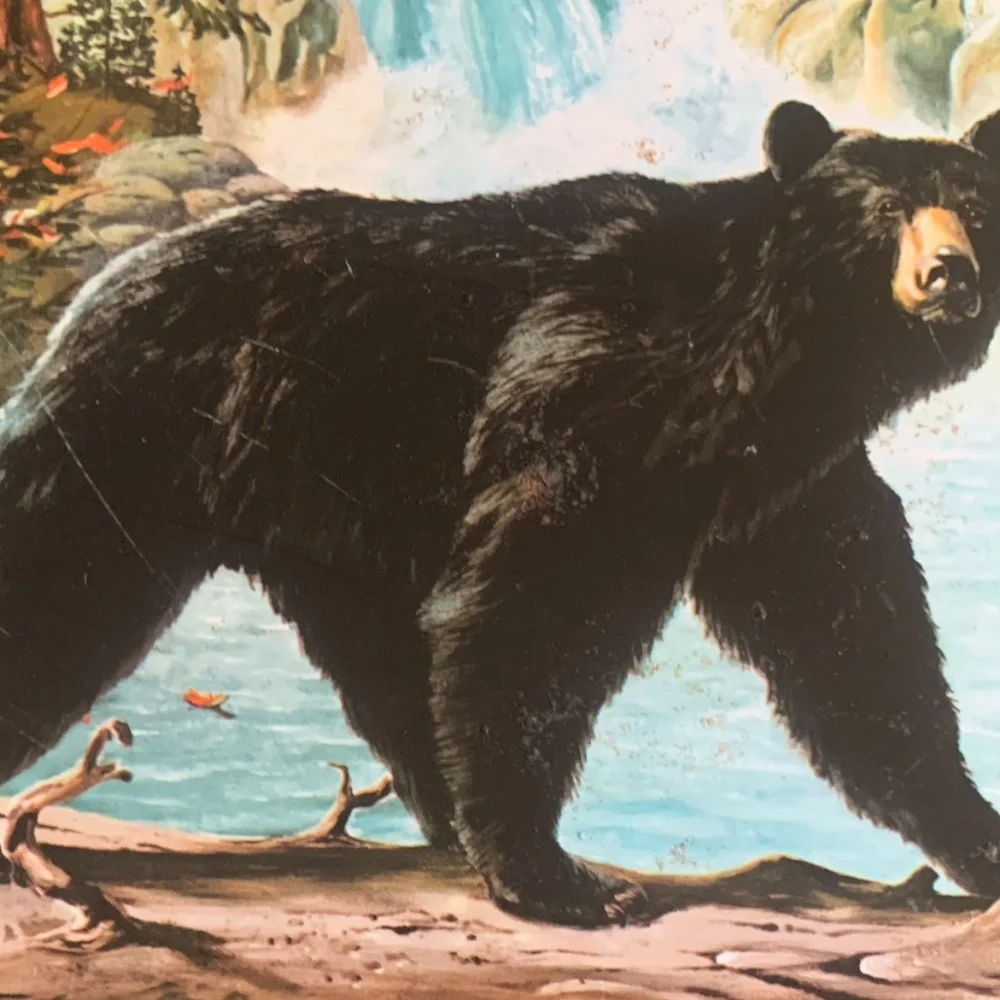 60s James L Artig Bear Tray